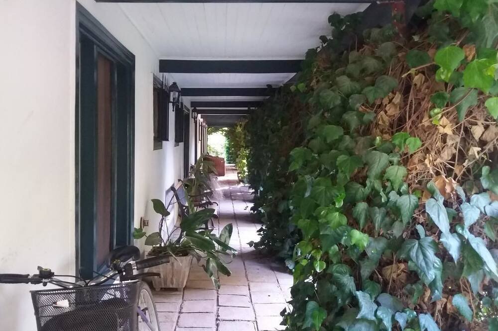 Photo of Outdoor in San Vicente