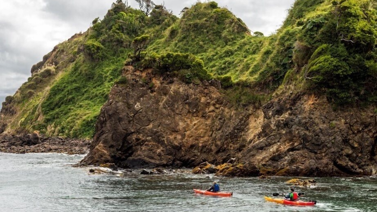 Photo of Others in Los Muermos