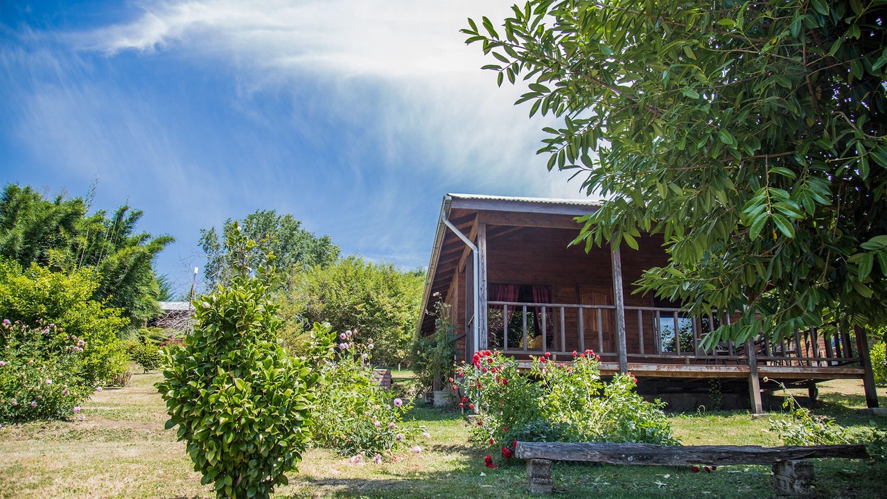 Photo of Outdoor in Panguipulli