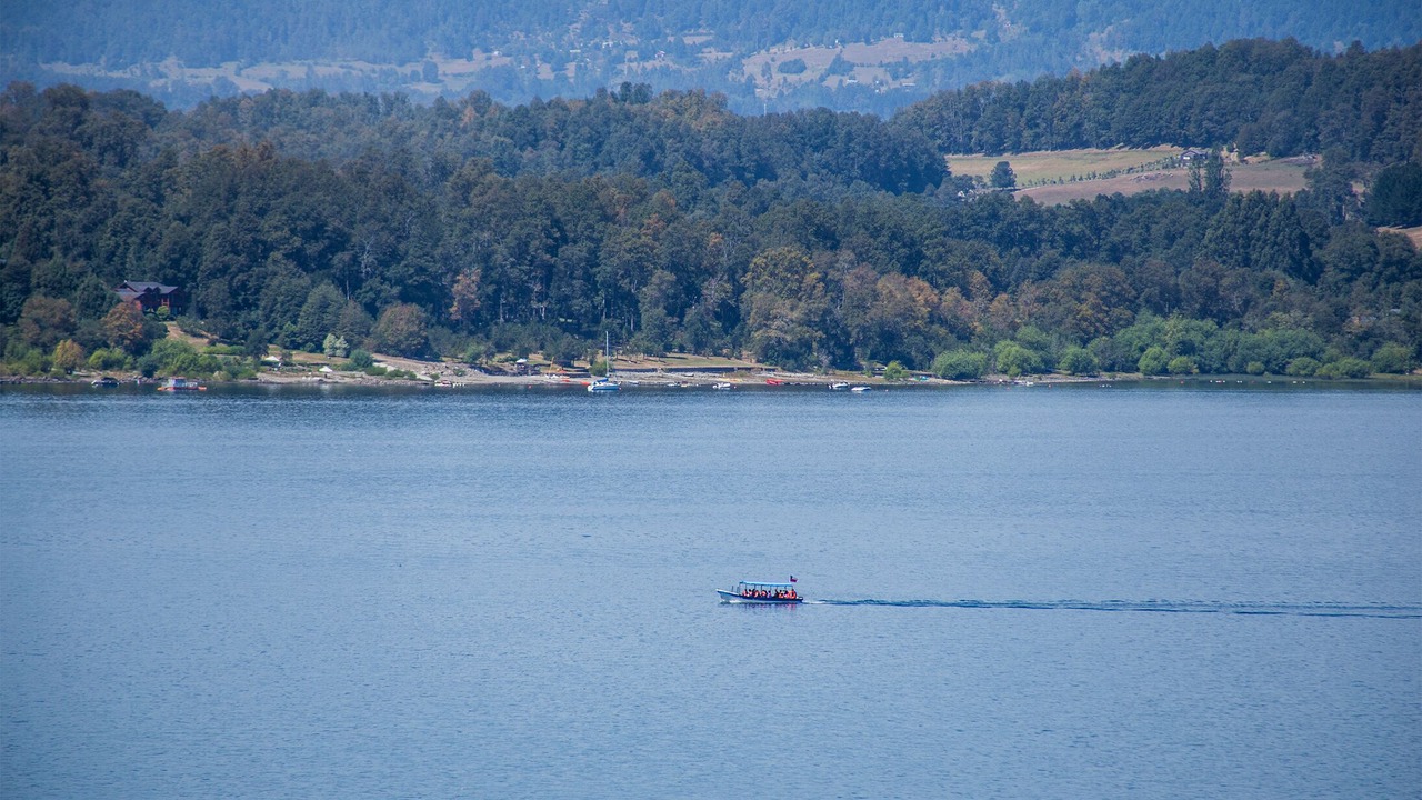 Photo of Outdoor in Panguipulli
