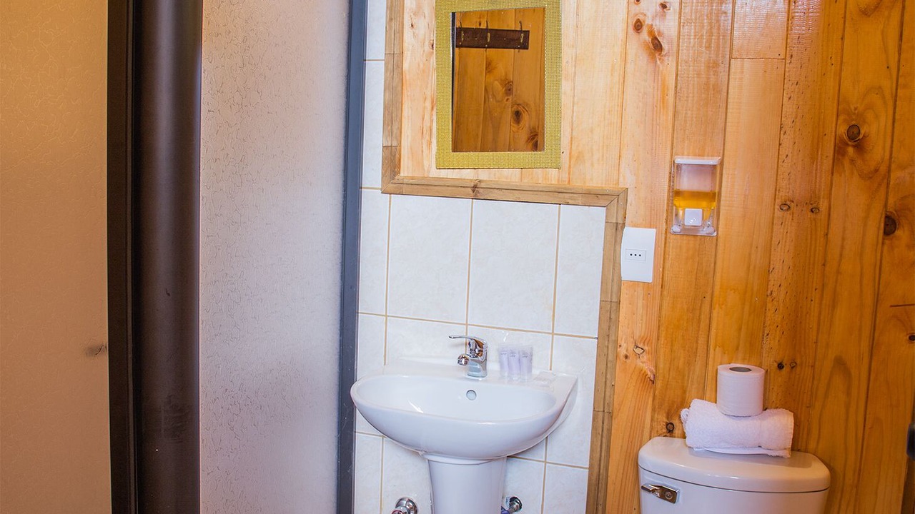 Photo of Bathroom in Panguipulli