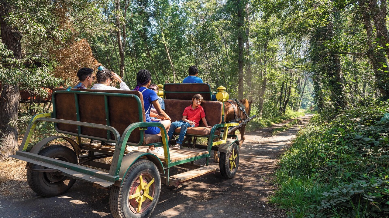 Photo of Outdoor in Salto del Laja