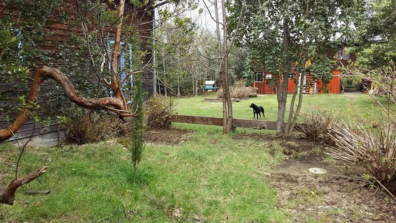 Photo of Others in Conaripe