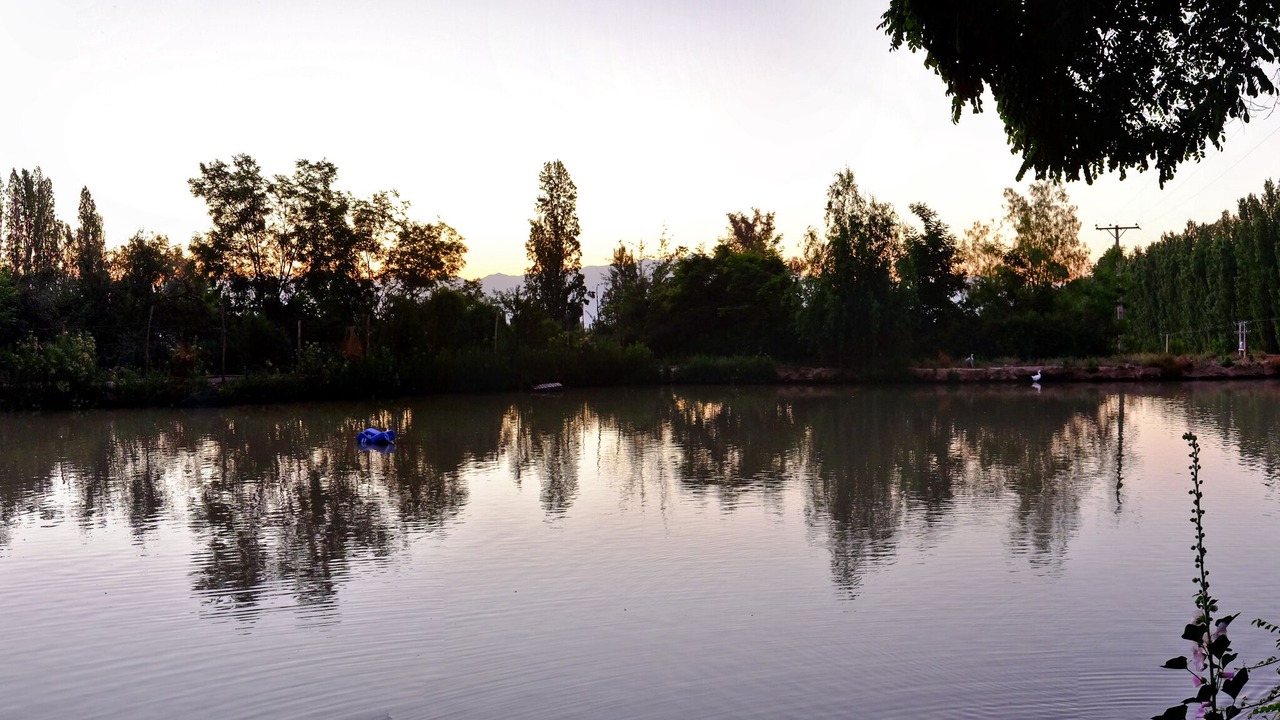 Photo of Outdoor in San Esteban