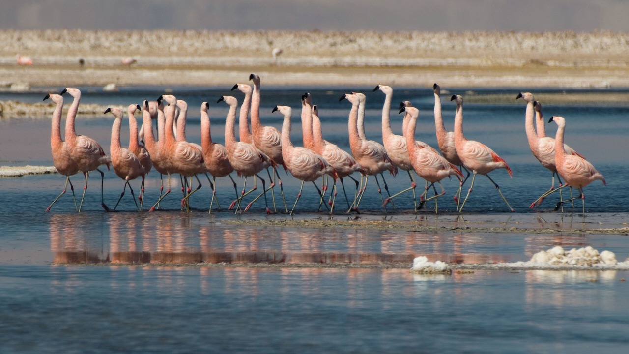 Photo of Outdoor in San Pedro de Atacama