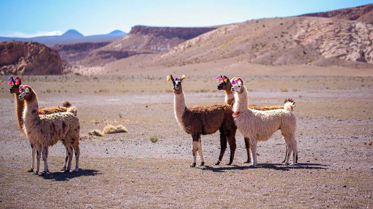 Photo of Outdoor in San Pedro de Atacama