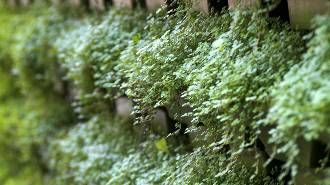 Photo of Outdoor in Lastarria