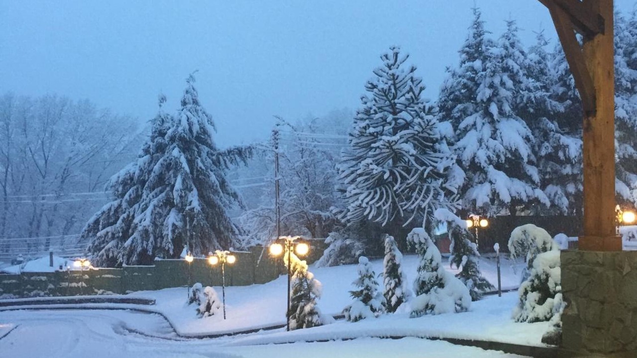 Photo of Outdoor in Coyhaique