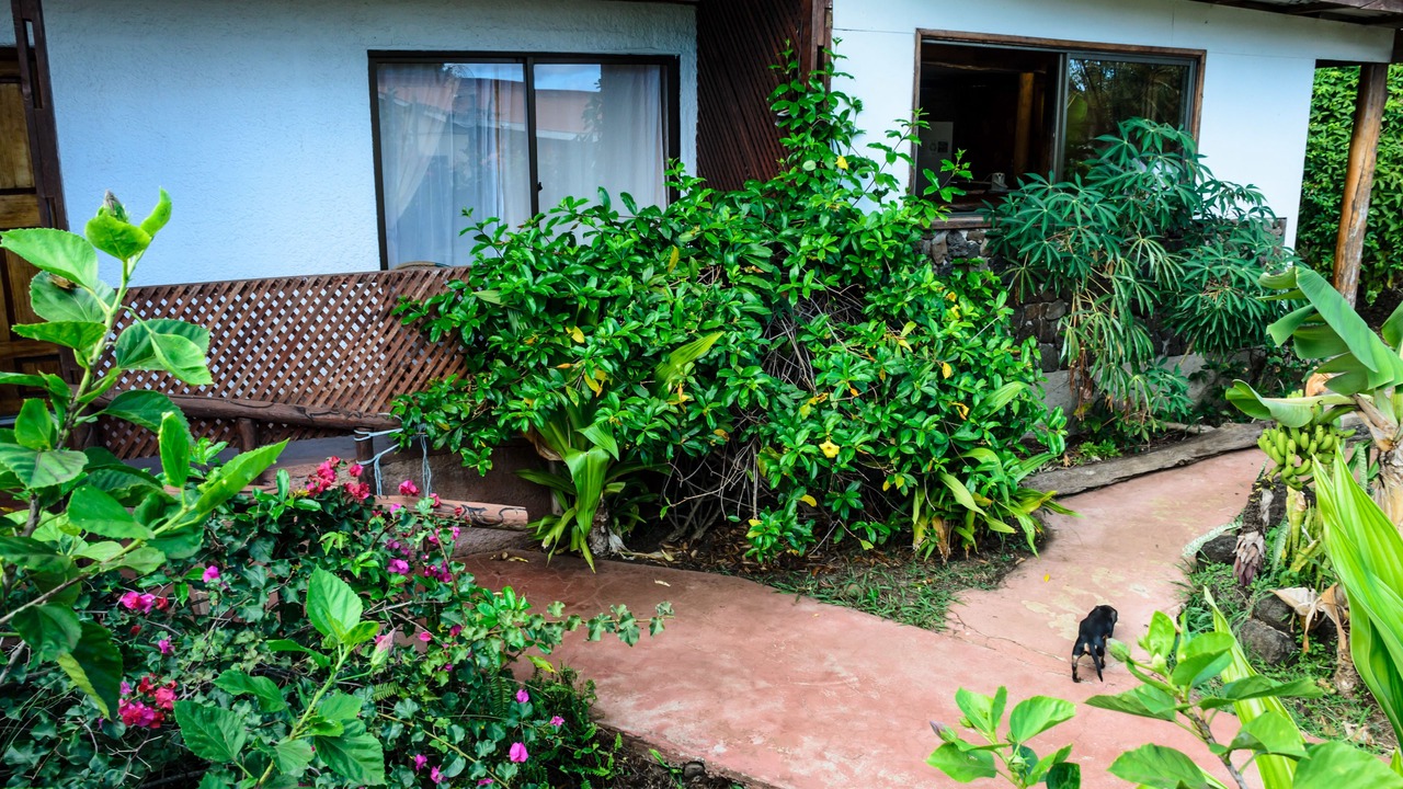 Photo of Bedroom in Hanga Roa