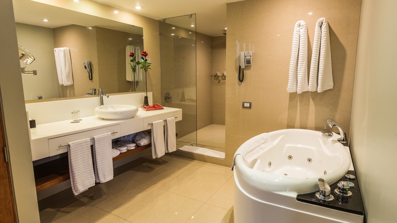 Photo of Bathroom in Vitacura