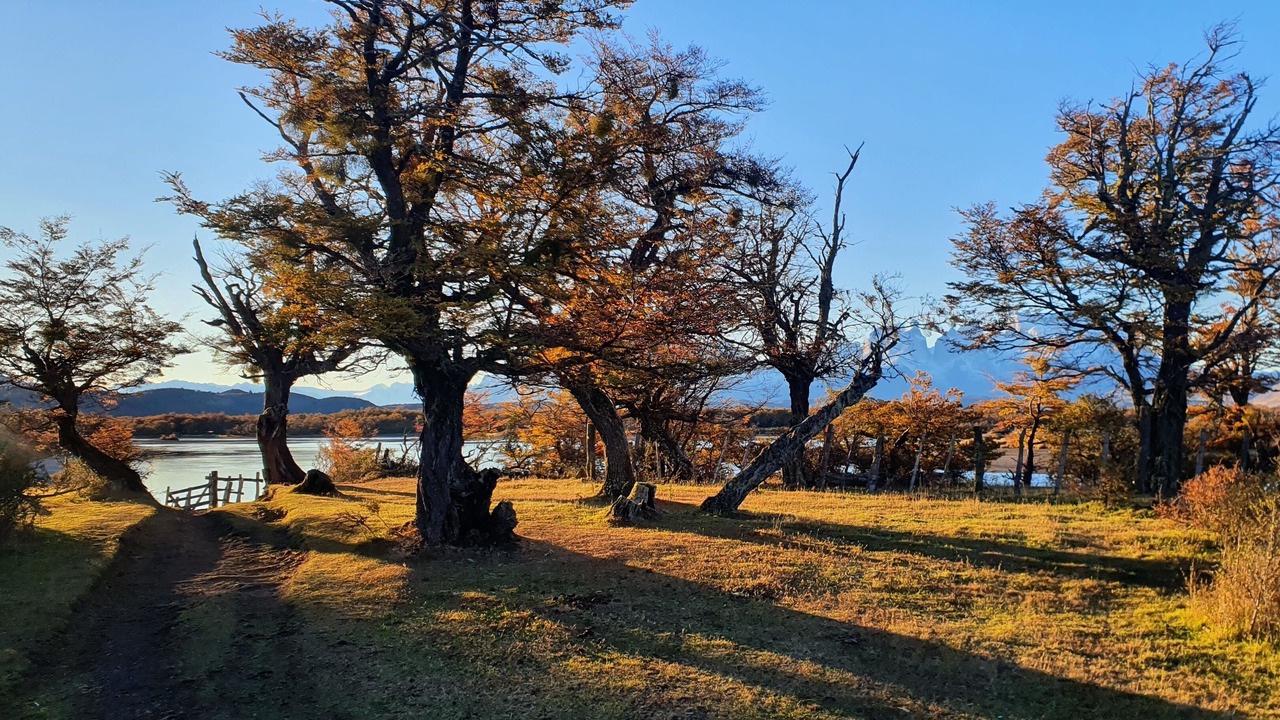 Photo of Patio Balcony in Torres Del Paine