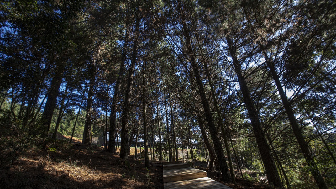 Photo of Outdoor in San Pedro de la Paz