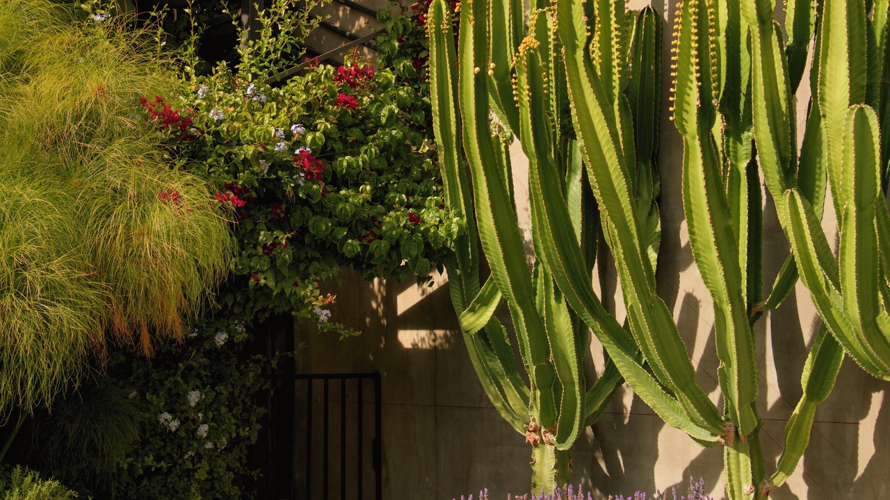 Photo of Patio Balcony in Vicuna