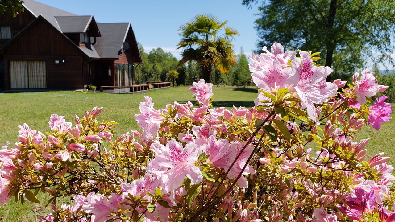 Photo of Outdoor in Villarrica