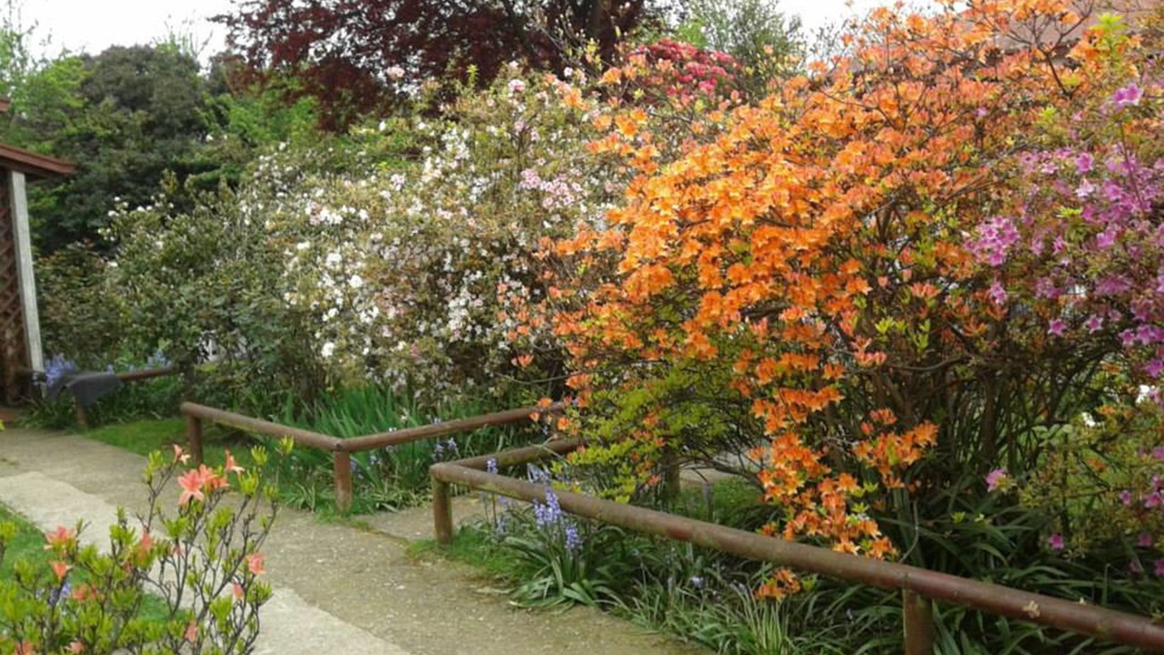 Photo of Outdoor in Valdivia
