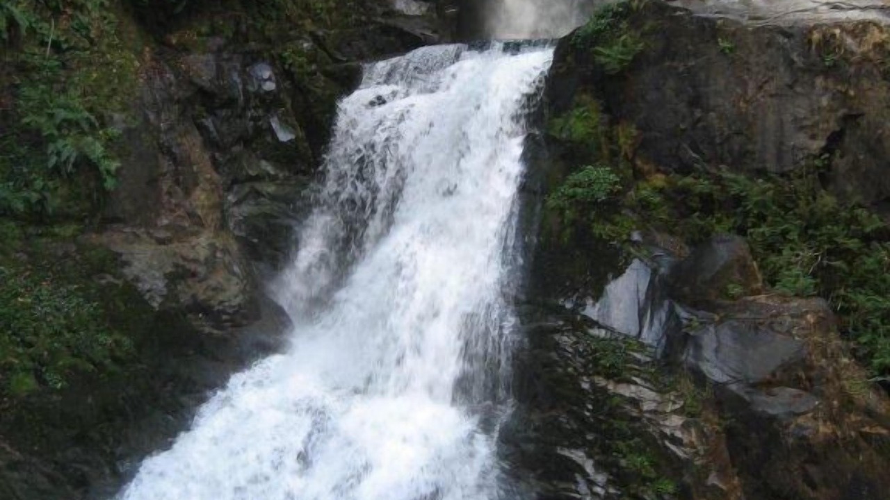 Photo of Outdoor in Curarrehue