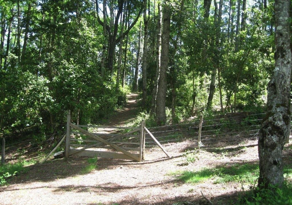 Photo of Outdoor in Curarrehue