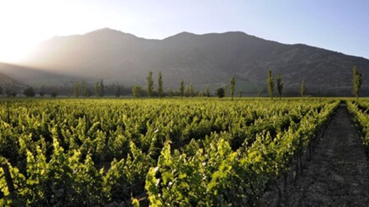 Photo of Outdoor in Alto Jahuel
