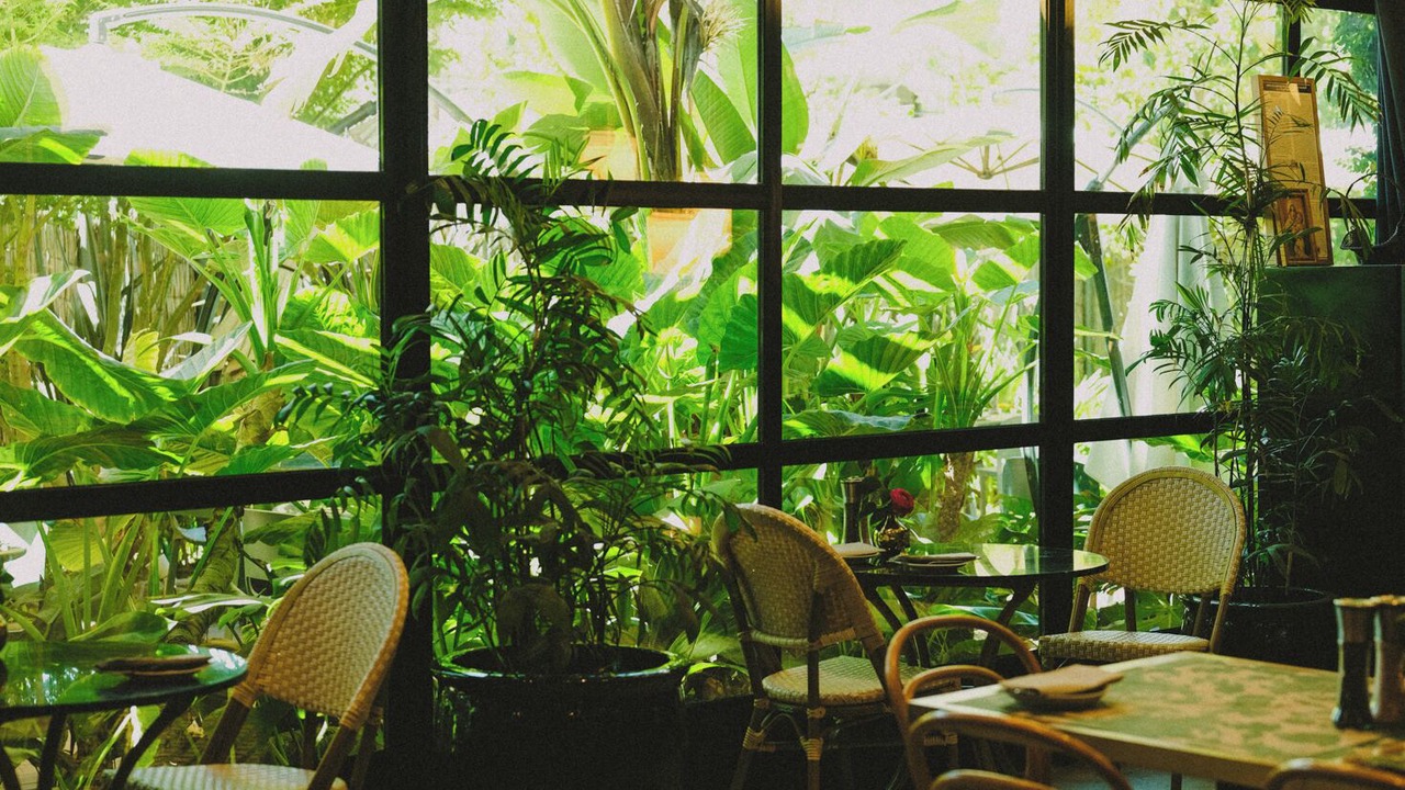 Photo of Others in Vitacura
