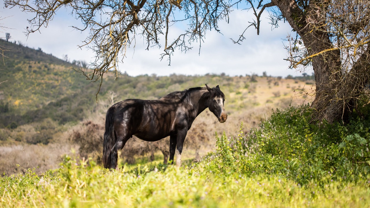 Photo of Outdoor in Lagunillas