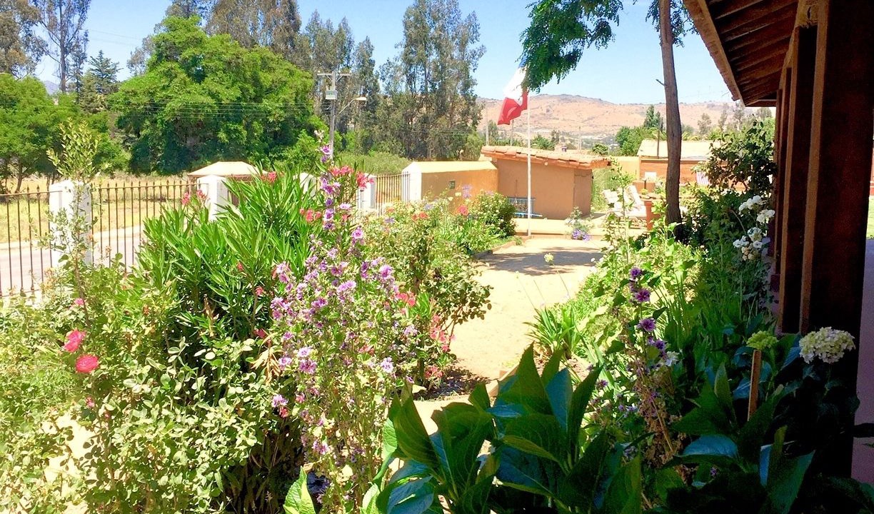 Photo of Outdoor in Lagunillas