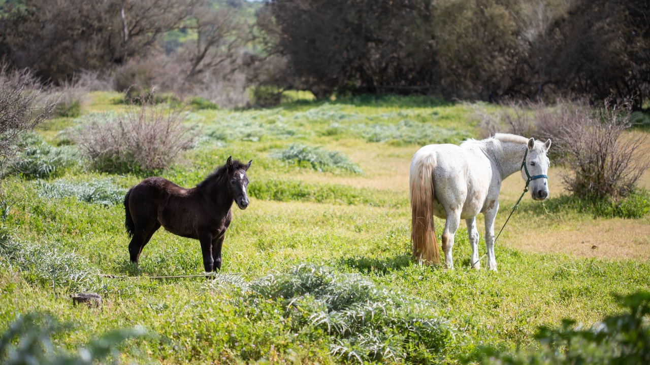 Photo of Outdoor in Lagunillas
