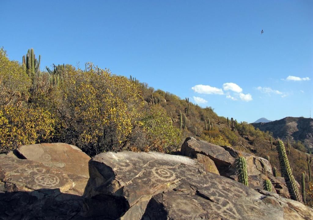 Photo of Outdoor in San Esteban