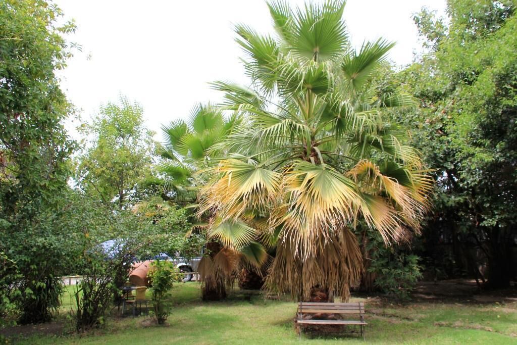 Photo of Outdoor in San Esteban