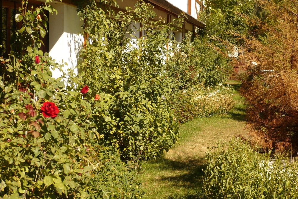 Photo of Outdoor in San Martin de los Andes