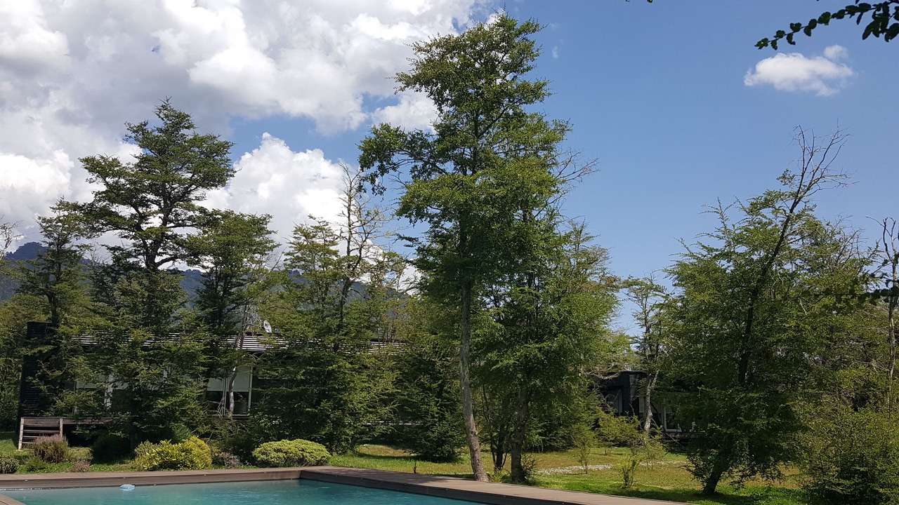 Photo of Outdoor in Malalcahuello