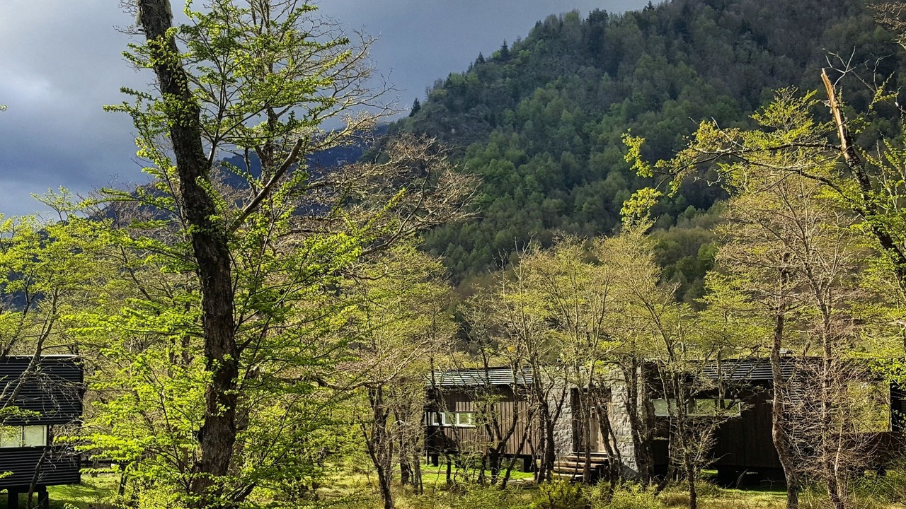 Photo of Outdoor in Malalcahuello