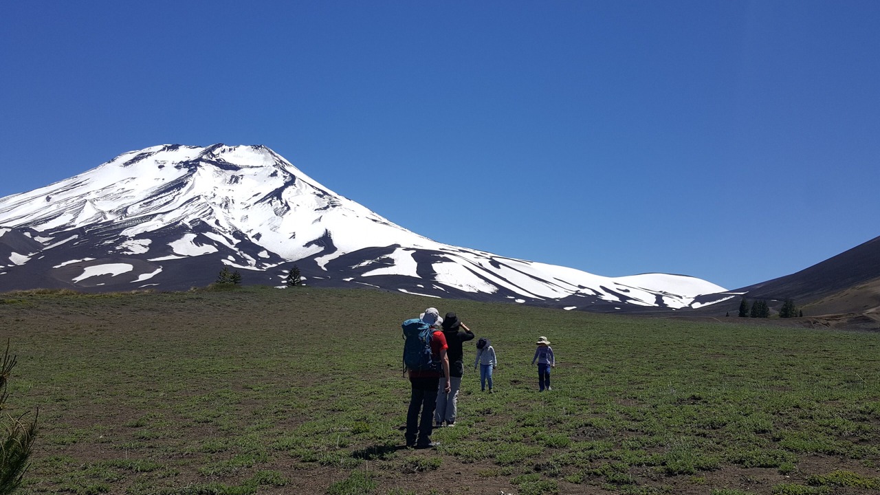 Photo of Others in Malalcahuello