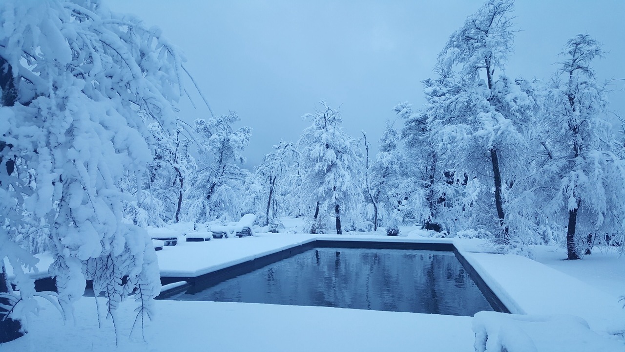 Photo of Outdoor in Malalcahuello