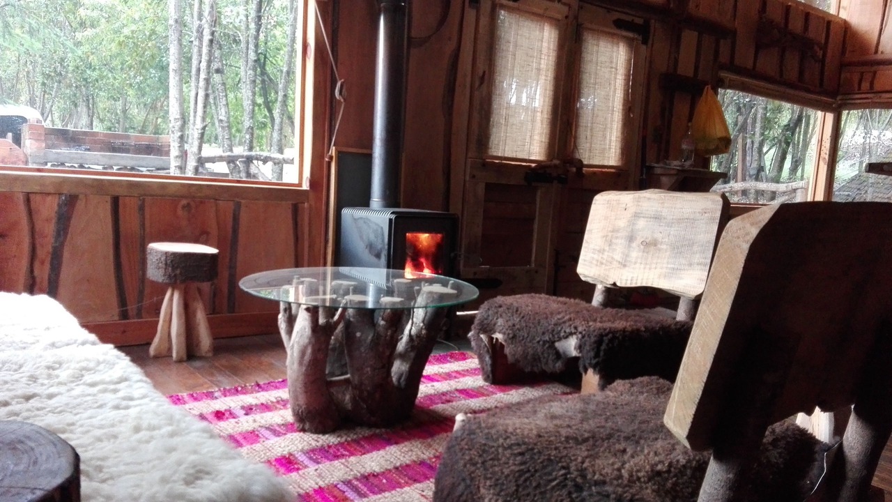 Photo of Livingroom in Pucon