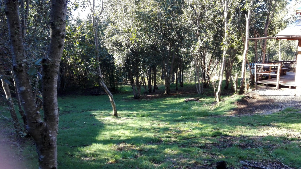 Photo of Outdoor in Pucon