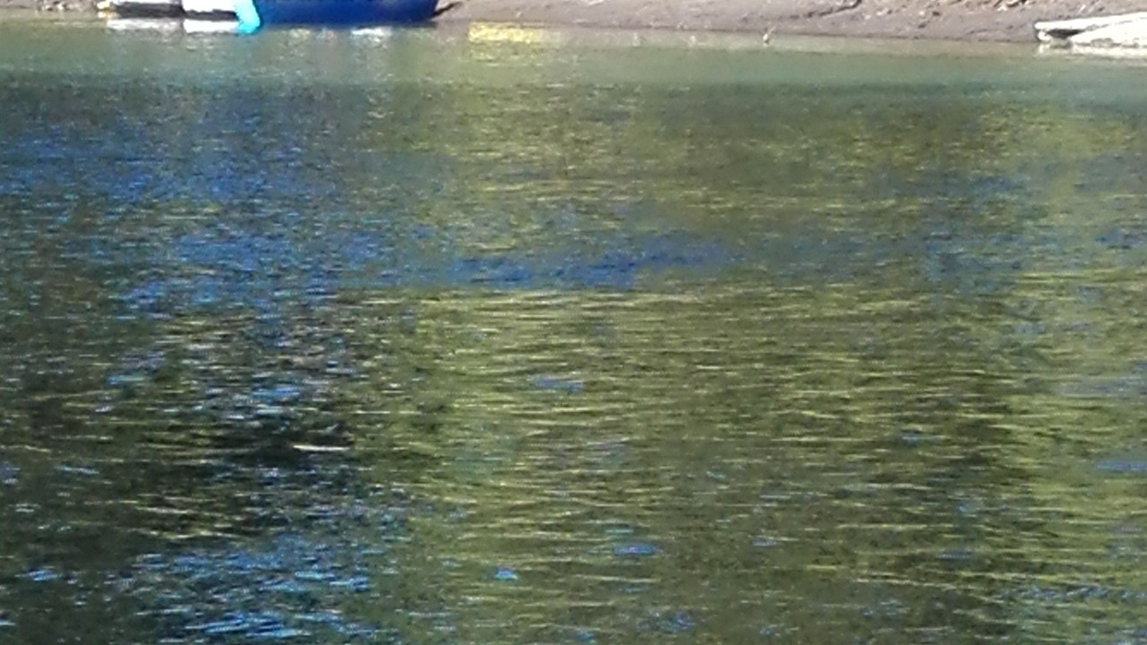 Photo of Outdoor in Pucon