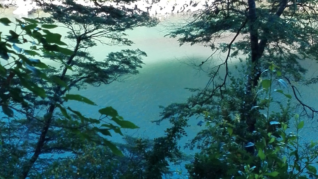 Photo of Others in Pucon