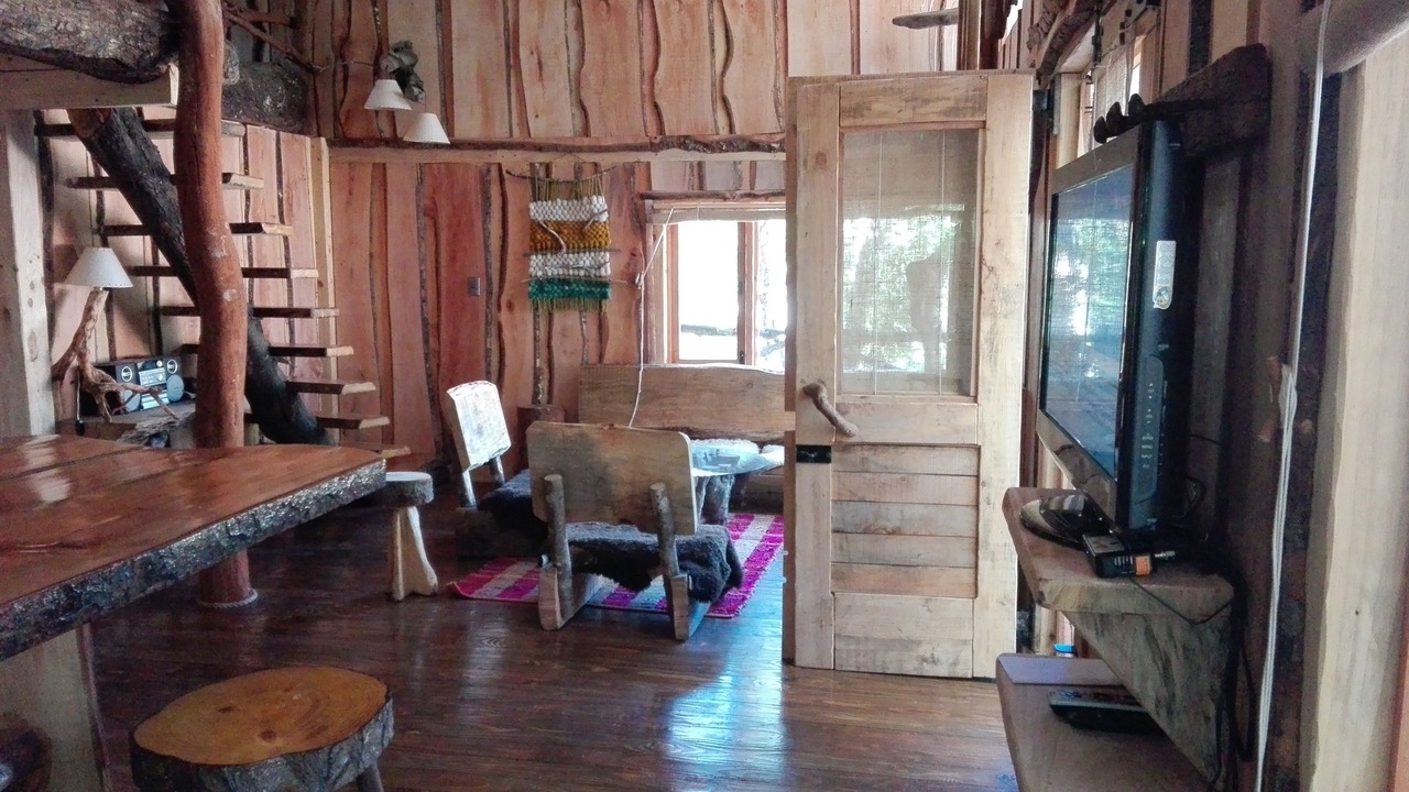 Photo of Livingroom in Pucon