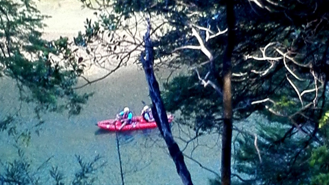 Photo of Others in Pucon