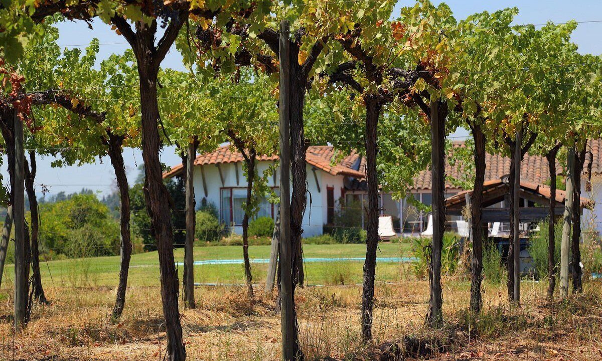 Photo of Outdoor in Santa Cruz