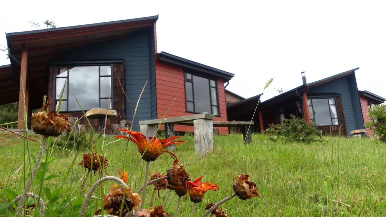 Photo of Others in Ancud