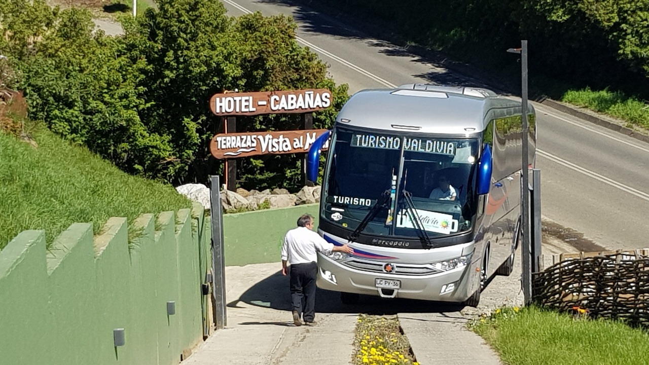 Photo of Others in Ancud