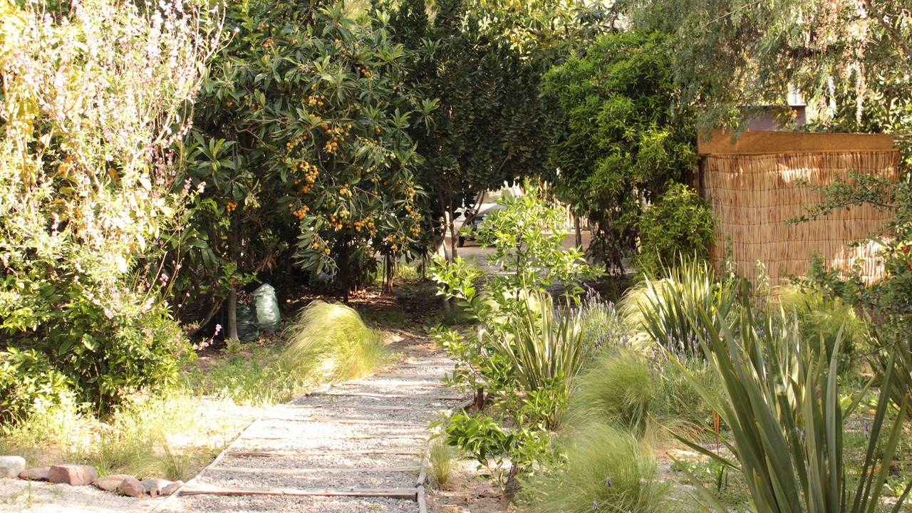 Photo of Outdoor in Vicuna