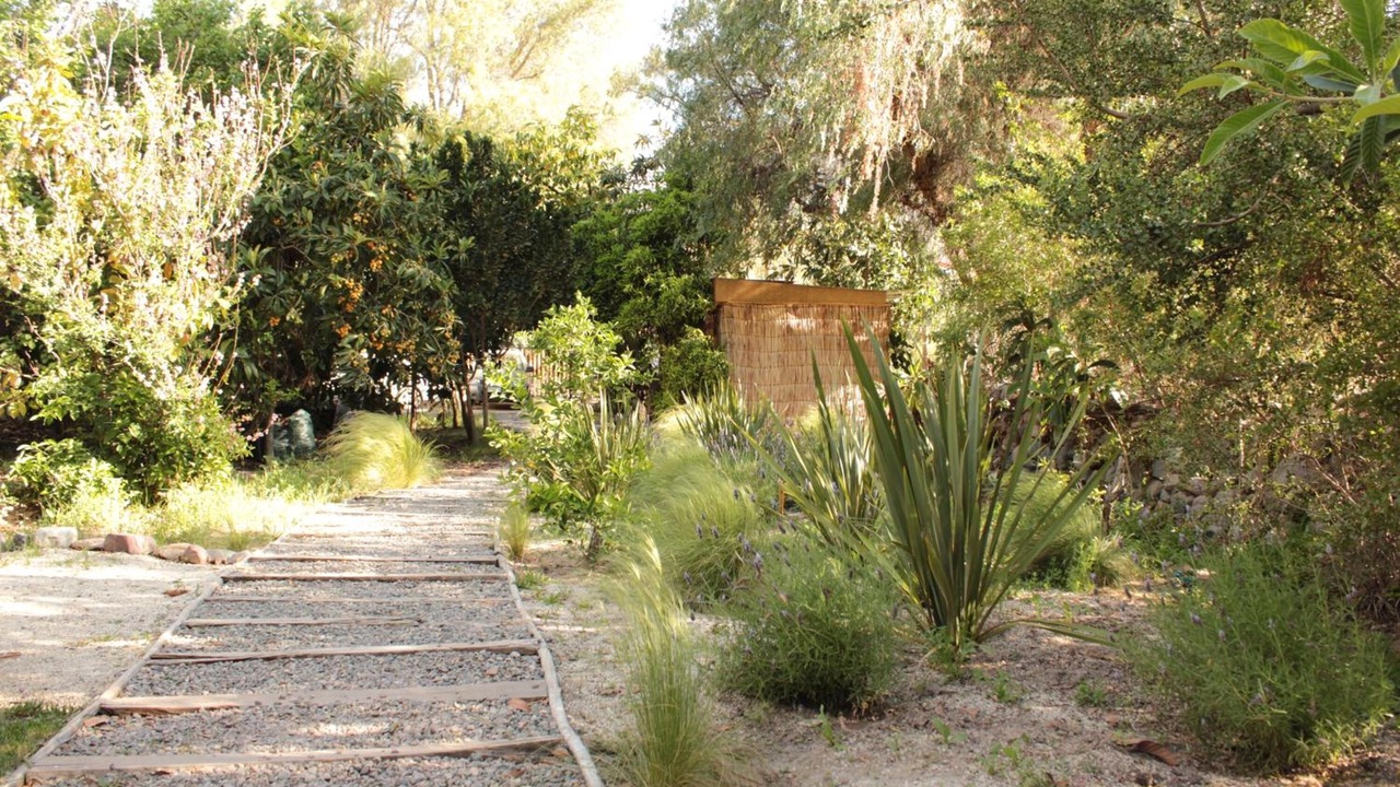 Photo of Outdoor in Vicuna