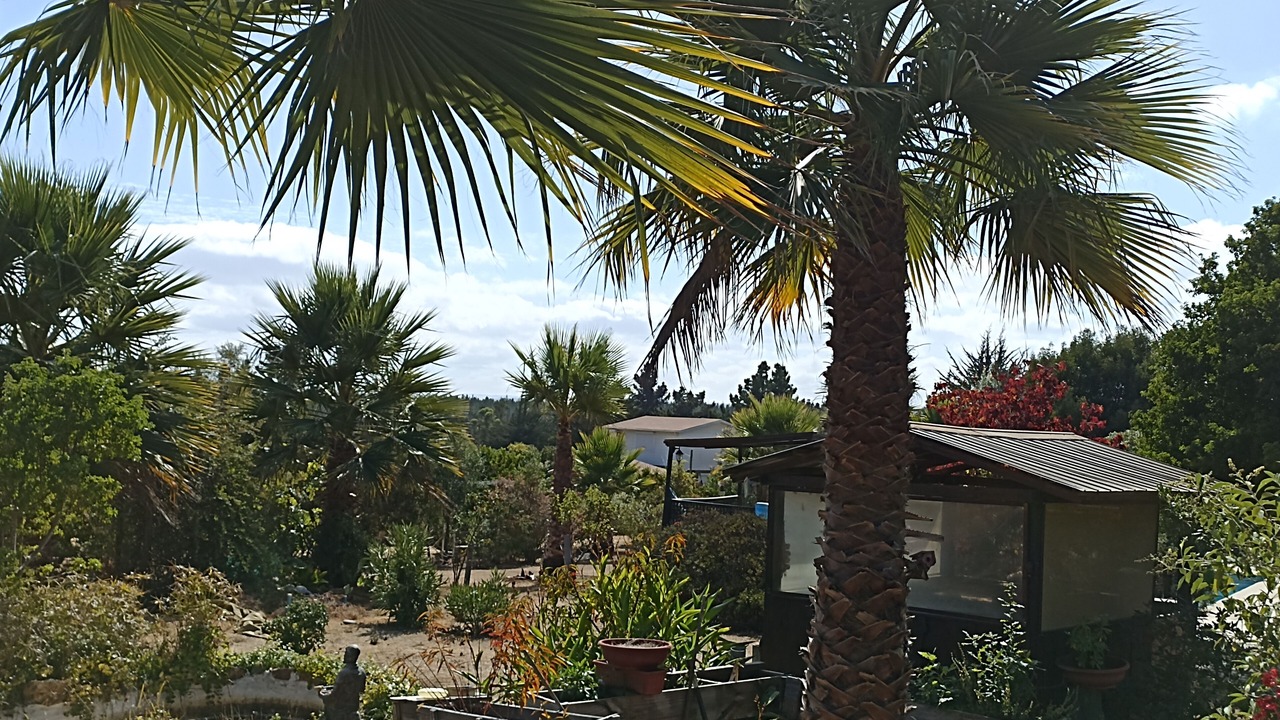 Photo of Outdoor in Algarrobo