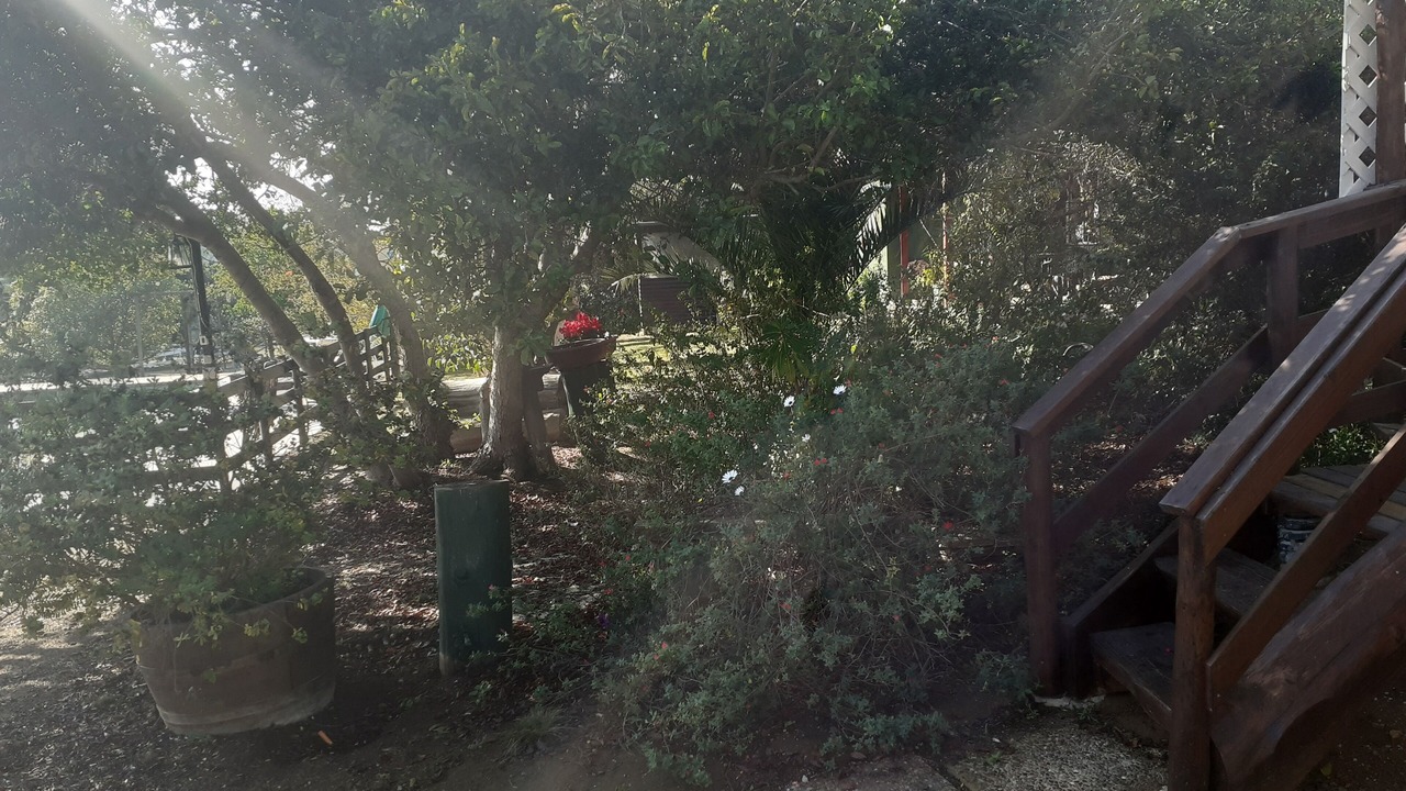 Photo of Outdoor in Algarrobo