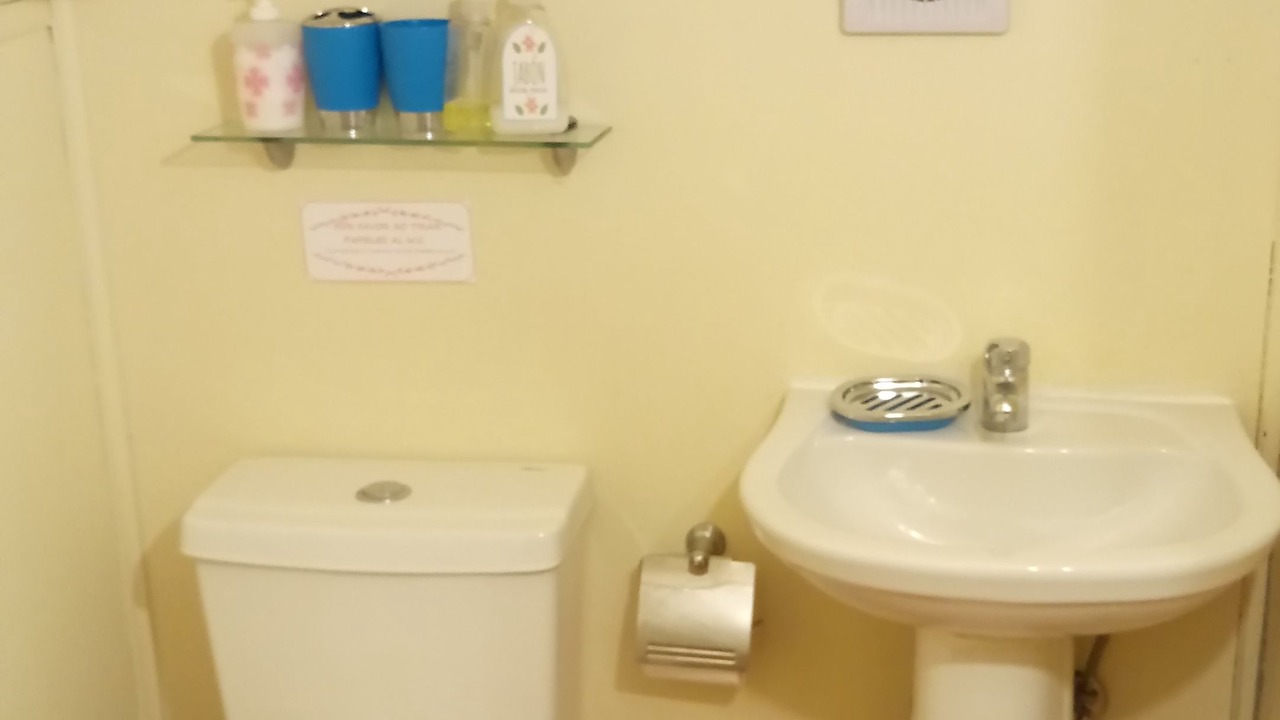 Photo of Bathroom in Puerto Octay