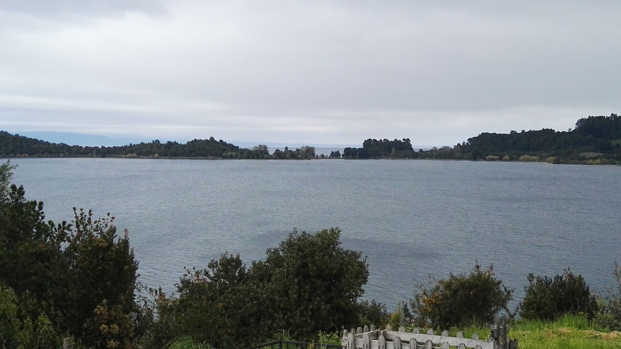 Photo of Others in Puerto Octay