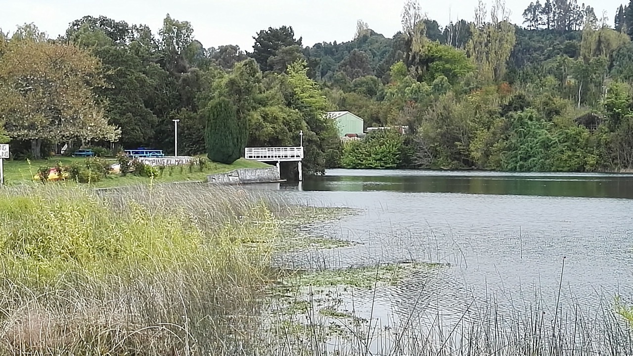 Photo of Others in Puerto Octay