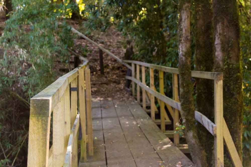Photo of Outdoor in Pucon